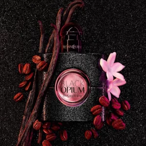 Lire la suite à propos de l’article Parfum Black Opium pour Femme